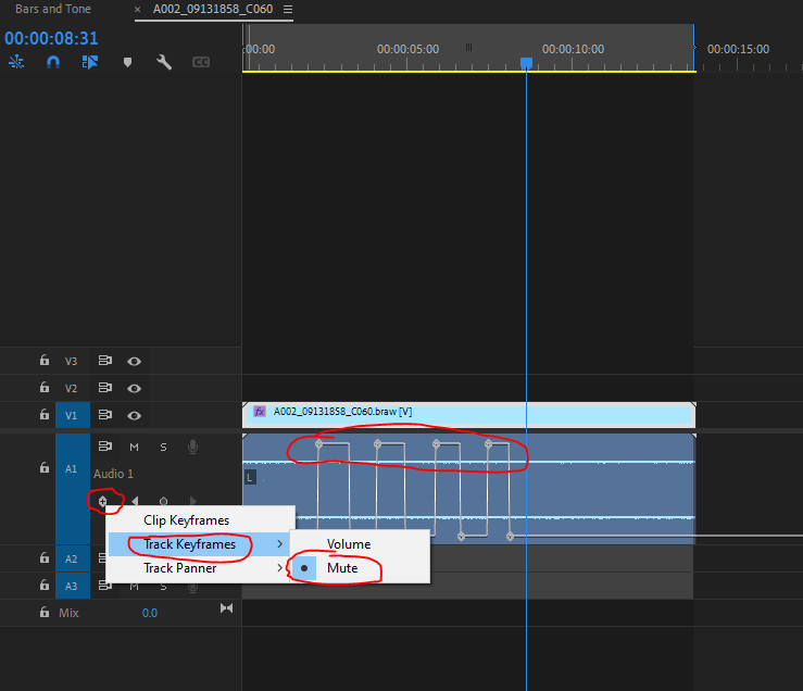 Mute keyframes 2.PNG