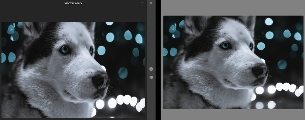 Compressed distortion on lightroom web.png