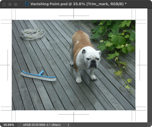 Screen Shot 2021-06-26 at 23.35.04.png