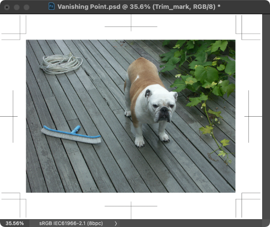 Screen Shot 2021-06-26 at 23.35.32.png