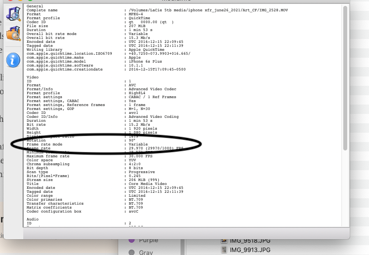 Screen Shot 2021-06-27 at 1.35.53 PM.png