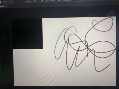 image.jpg