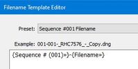 2021-07-07 10_02_46-Filename Template Editor.jpg