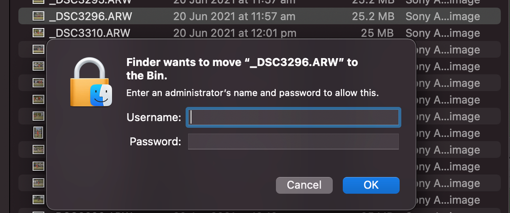 Screen Shot 2021-07-08 at 6.32.22 am.png