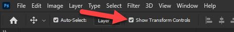 show transform controls.jpg