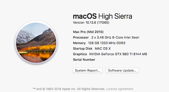 My macOS Info.png