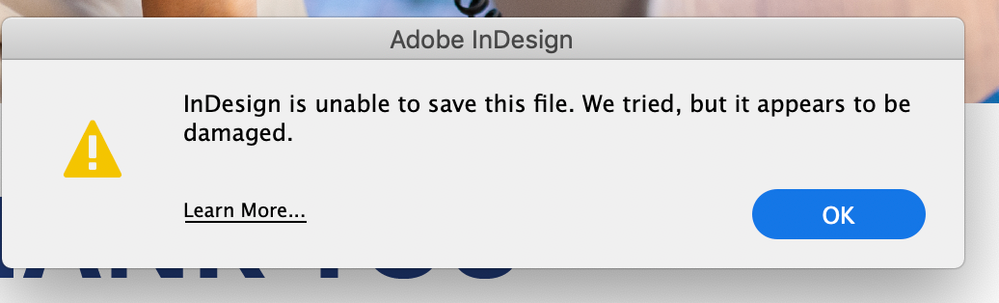 indesign 2021 to save.png