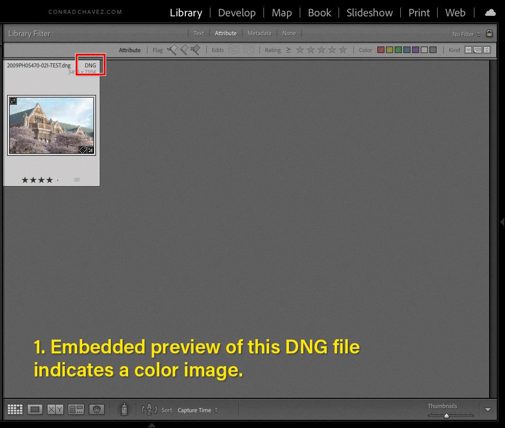 DNG-preview-is-wrong.gif