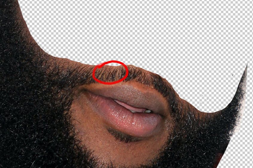 Ross beard.jpg Ross beard.jpg