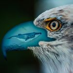 Cheerful_connoisseur5EF3