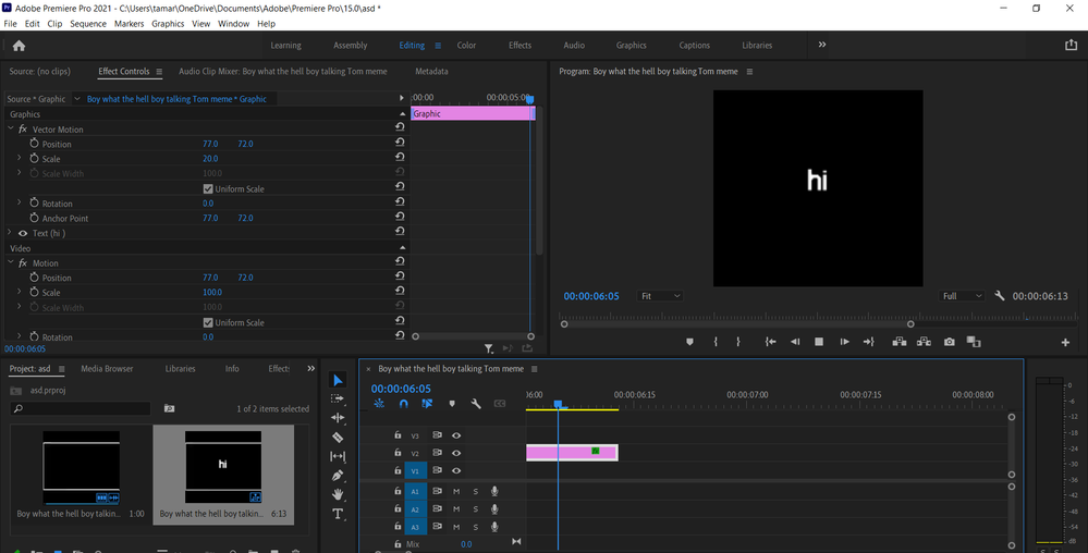 Adobe Premiere Pro 2021 - C__Users_tamar_OneDrive_Documents_Adobe_Premiere Pro_15.0_asd _ 7_26_2021 11_46_42 AM.png