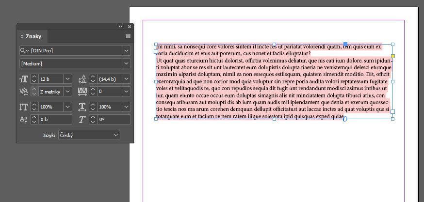 Indesign.JPG