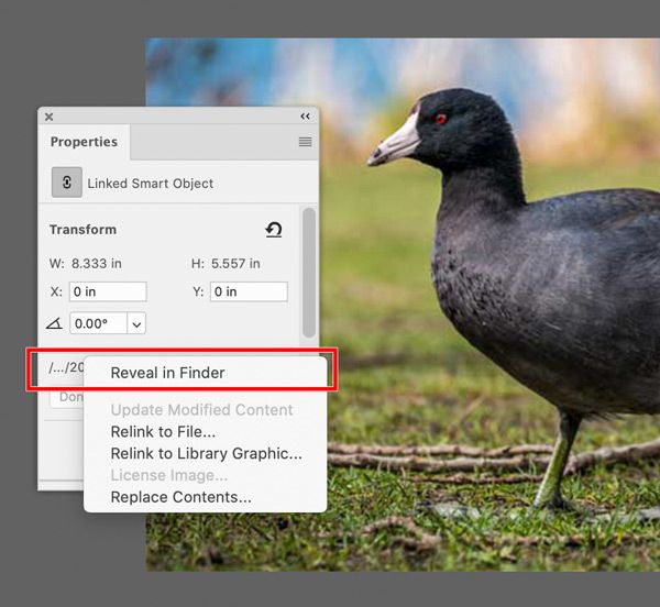 Photoshop-Linked-Smart-Object-Reveal-in-Finder.jpg