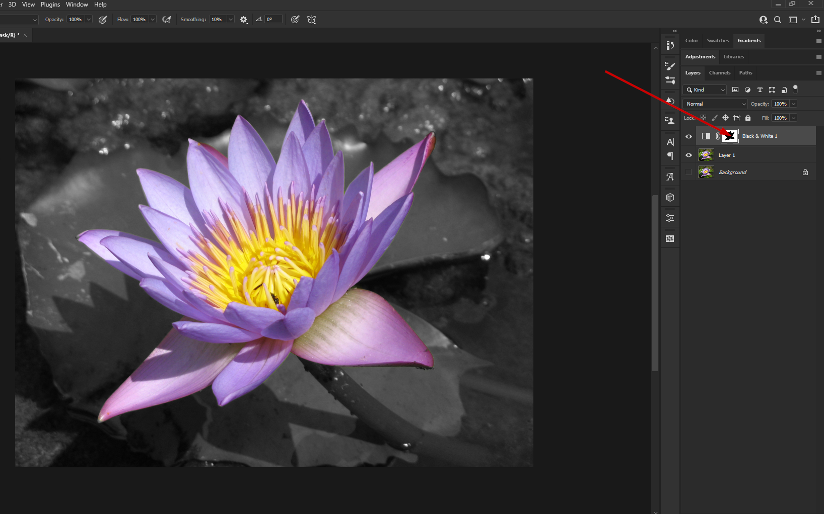 Solved: Turning A Picture To B+W And Then Adding Some Colo... - Adobe ...