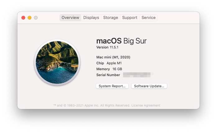 macOS 11.5.1 About This Mac > Overview