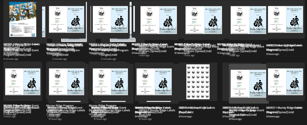InDesign 'RECENT' page.png