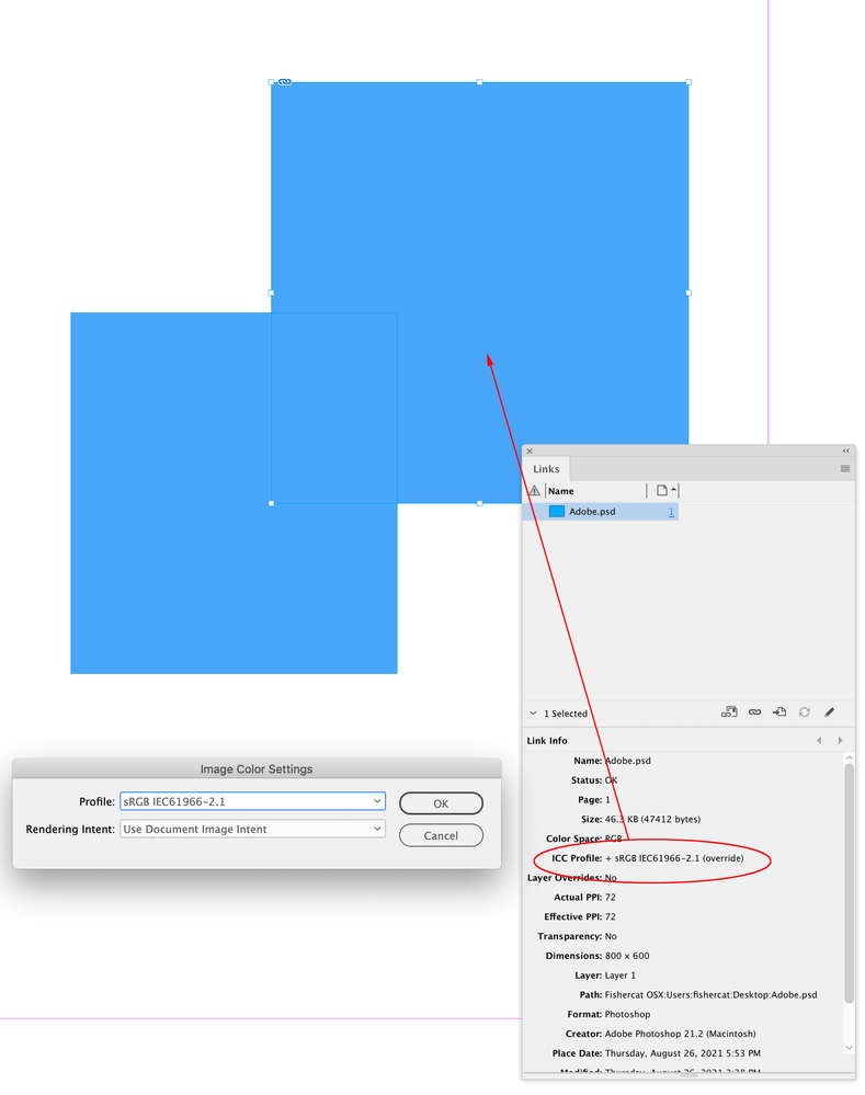Screen Shot 14.png
