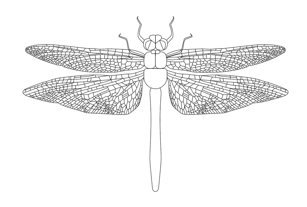 Screenshot 2021-08-29 at 09.38.57.png