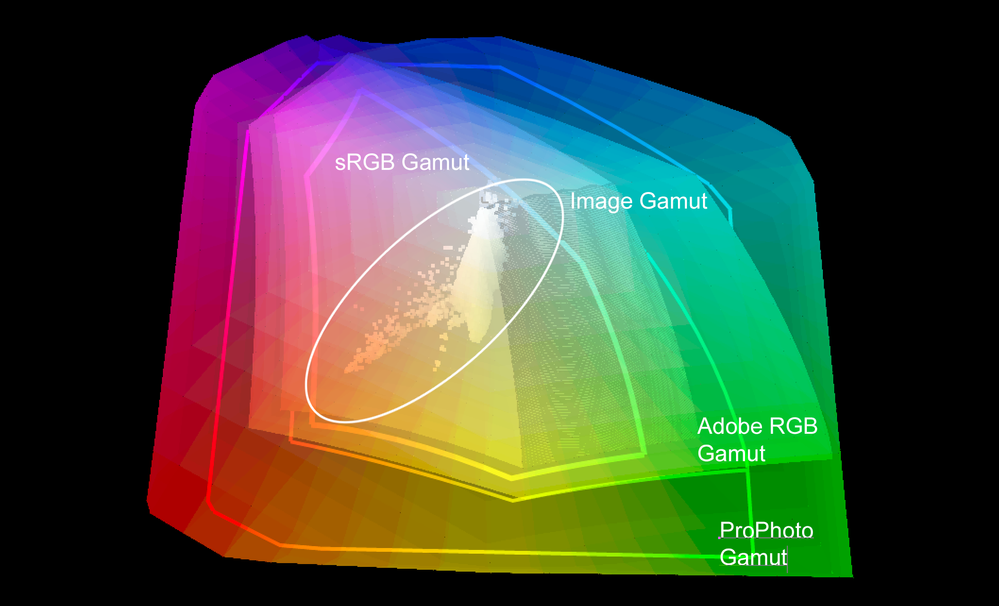 Screen Shot 2021-09-14 at 2.11.41 PM.png