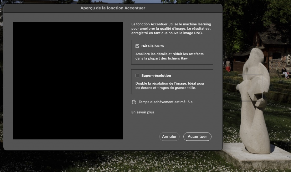 p-camera-raw-enhanced-definition-black-preview-adobe-support