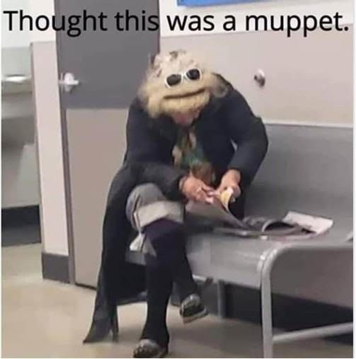 Muppet.jpg