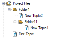 Project Manager