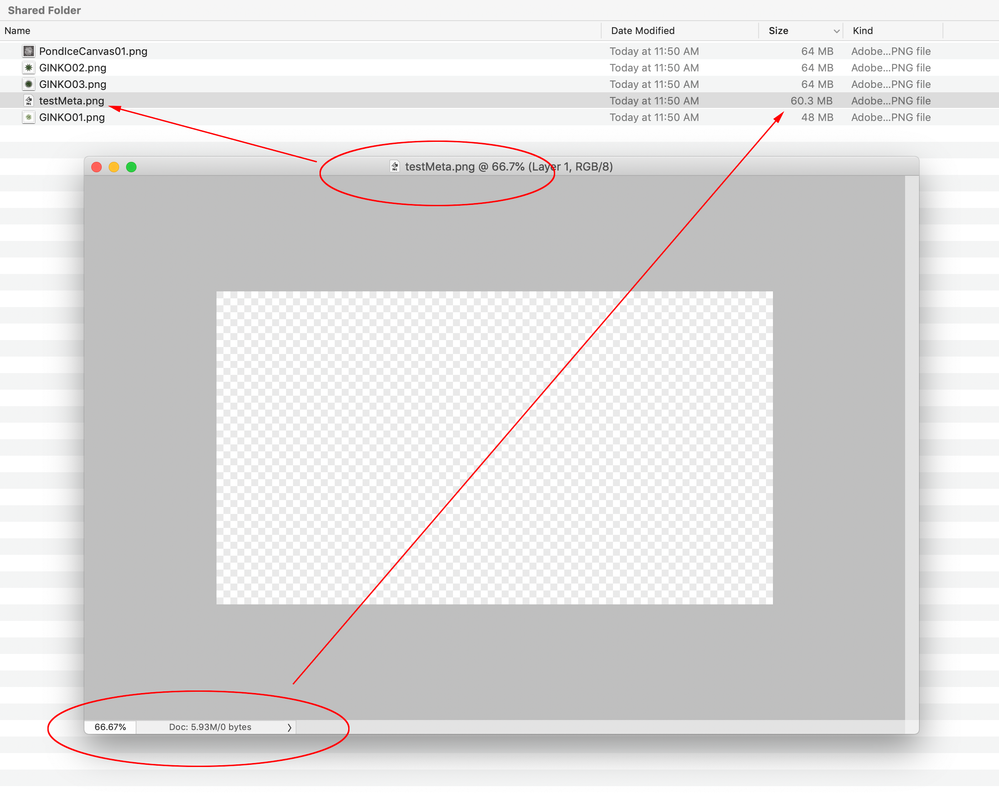 Screen Shot 17.png