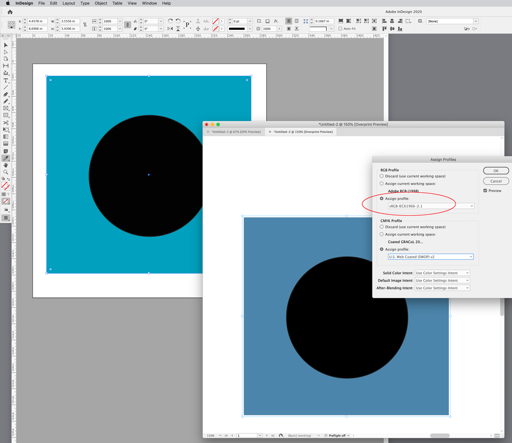 Screen Shot 10.png