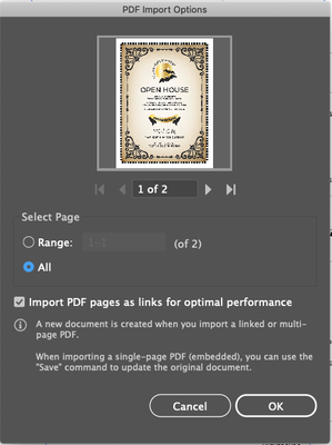 PDF Import Options.png
