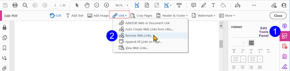 Remove Hyperlinked URLs.