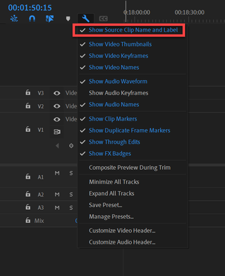 Show souce clips name and label.png