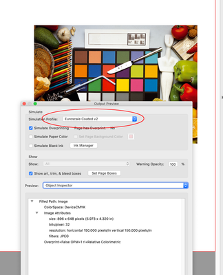 Screen Shot 22.png