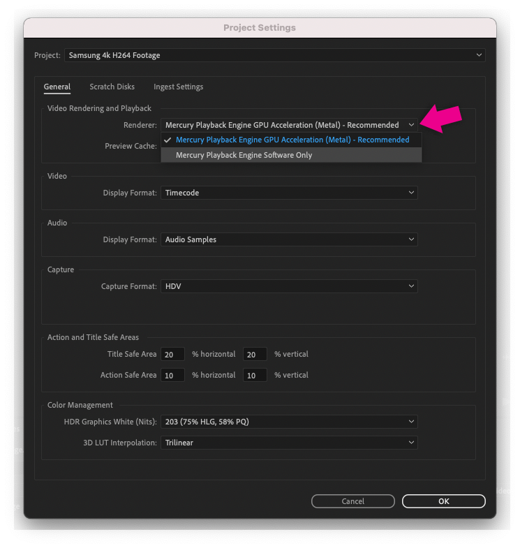 If Premiere Pro opens using Rosetta, the Renderer can be changed.