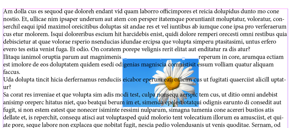 Screen Shot 2019-12-04 at 4.31.52 PM.png