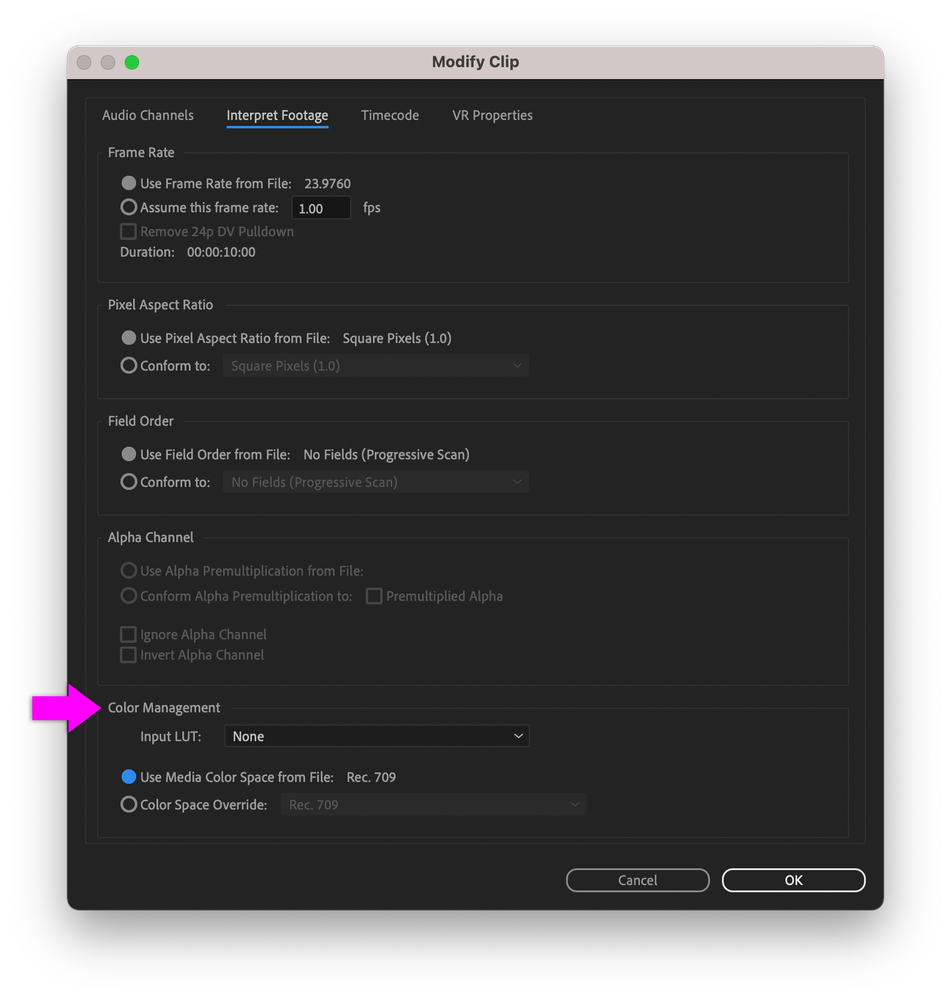 Color Management Input LUT set to None in the Modify Clip dialog box