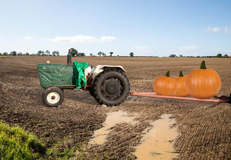 SFTW148TractorFieldsPumpkin.jpg