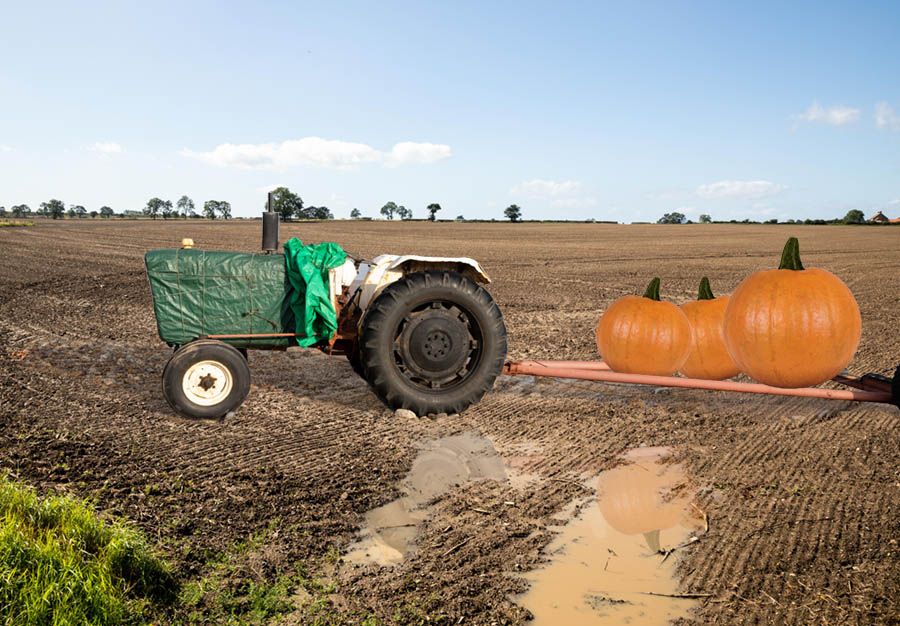 SFTW148TractorFieldsPumpkinRefl.jpg