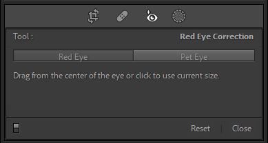 Lightroom 11.0.1 Red Eye Correction.JPG