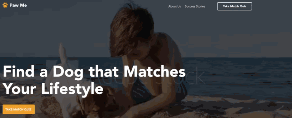 CCC-Landing page.gif