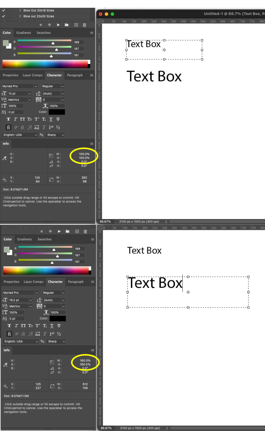 solved-any-way-to-reset-text-box-scale-after-transform-or-adobe