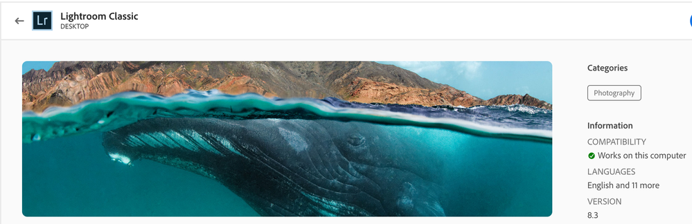 Greenshot 2019-12-06 16.58.20.png