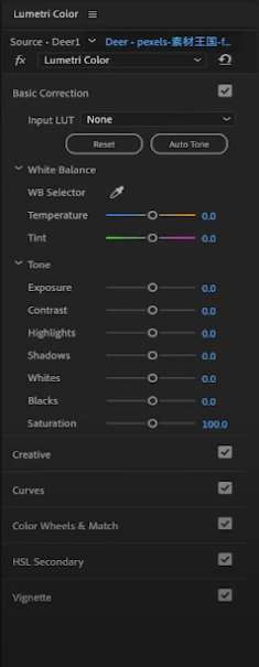 Screen Shot 2021-11-23 at 6.48.04 PM.png
