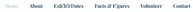 Adobe PDF.png
