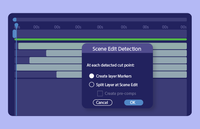 Scene Edit Detection.png