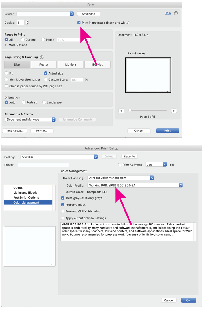 print settings.png