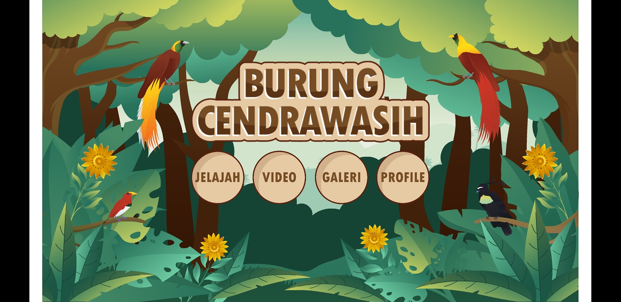 Remove the white background in android application... - Adobe Support