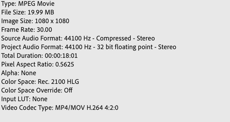 Screen Shot 2021-12-22 at 10.38.39 am.png