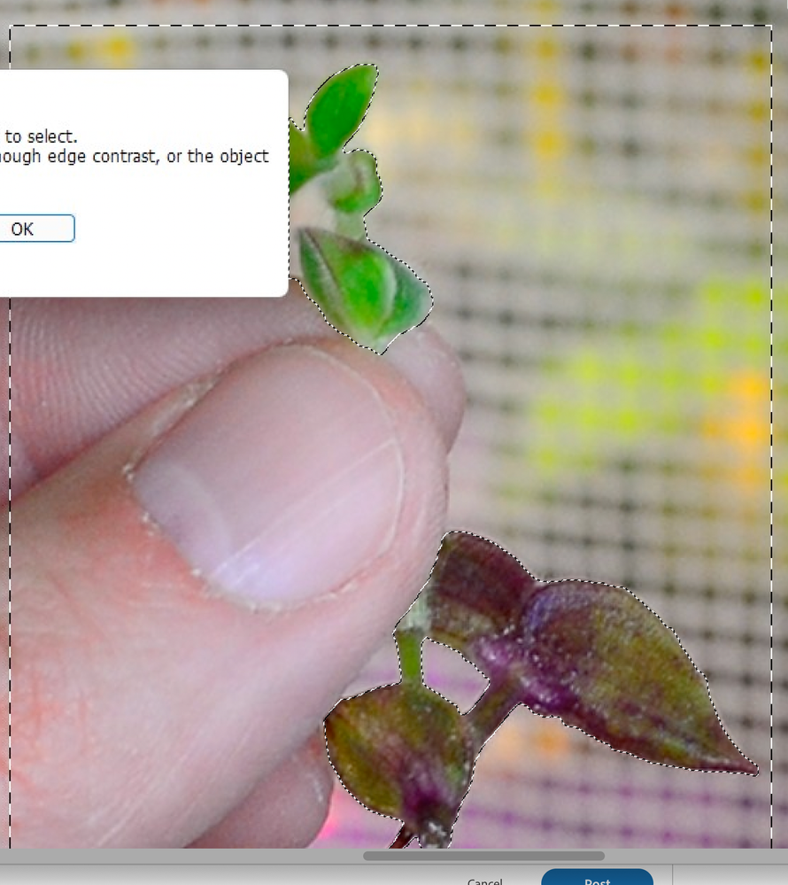 janee_1-1640542882810.png