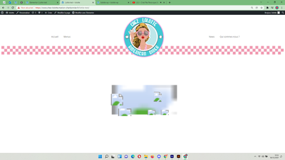 Marion22435692lysf_2-1640866365267.png