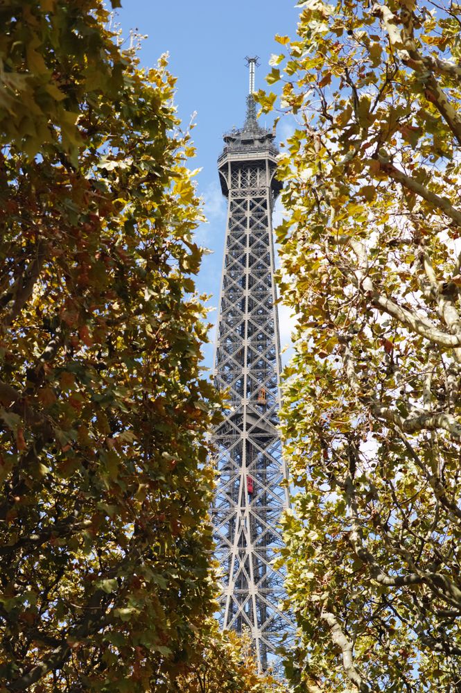 Eiffel Tower Paris, France EU.JPG